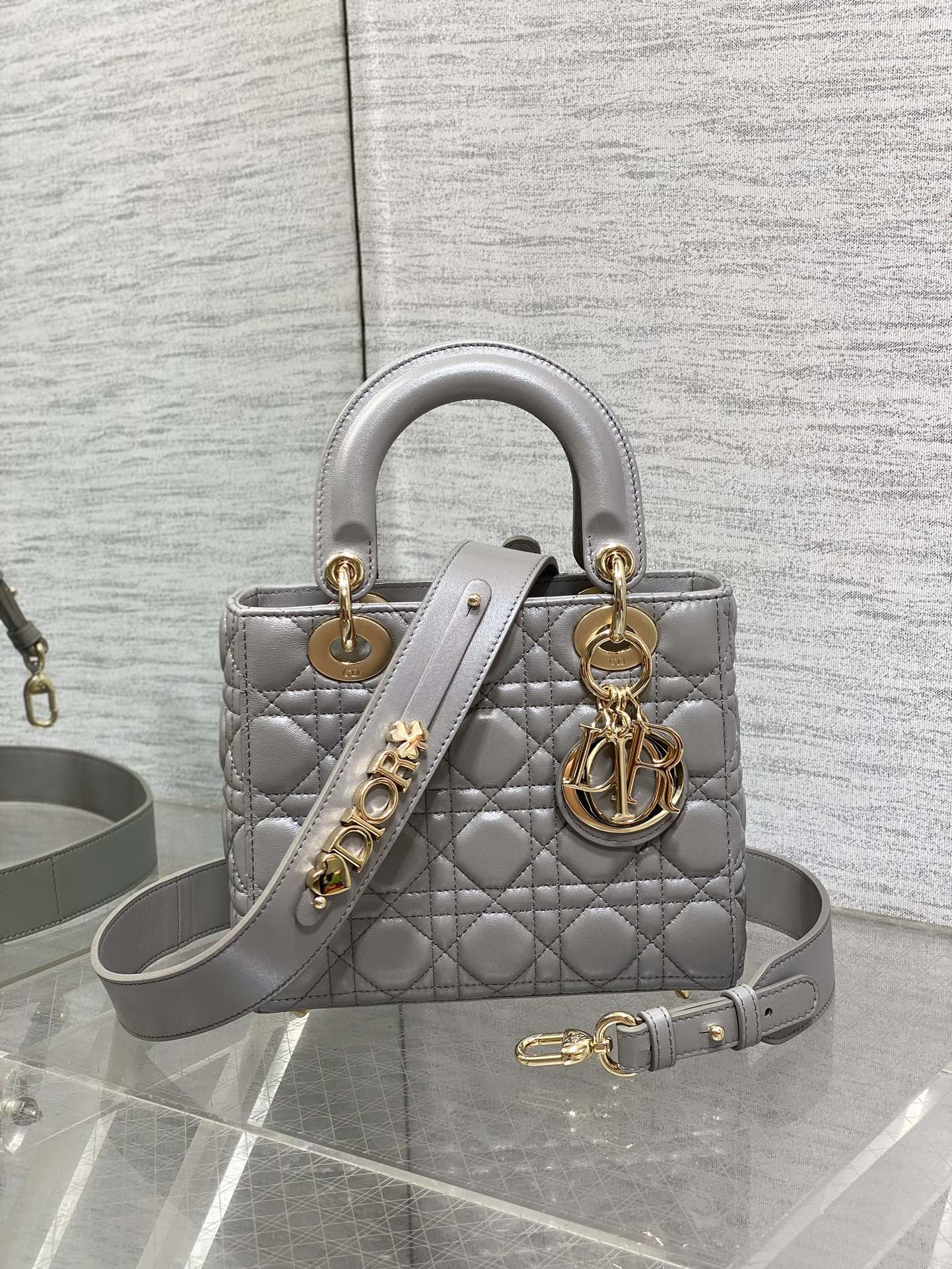 Small Lady Dior My ABCDior Bag Gray Cannage Lambskin